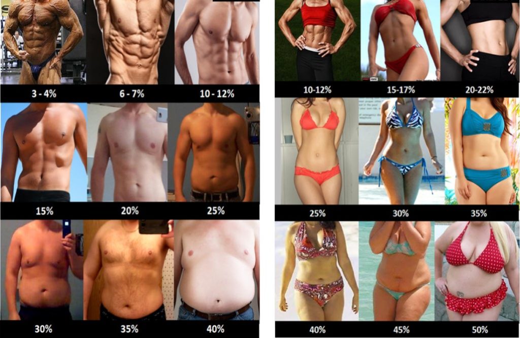 Personas mostrando distintos porcientos de grasa corporal